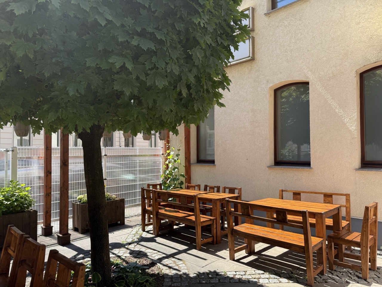Schattiger Gartenplatz unter einem großen Baum mit Holzbänken bei Mami Viet in Leipzig-Lindenau
